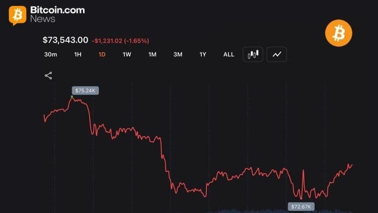 Trgovci so po likvidacijah v višini 352 milijonov dolarjev ponovno potisnili vrednost bitcoina nad 73.000 dolarjev