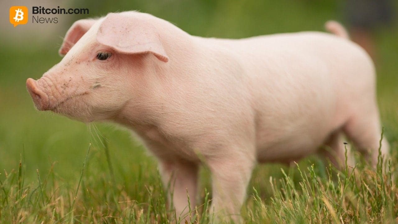 Kina bekräftar deltagande i en ”unik” insats mot svinslakt