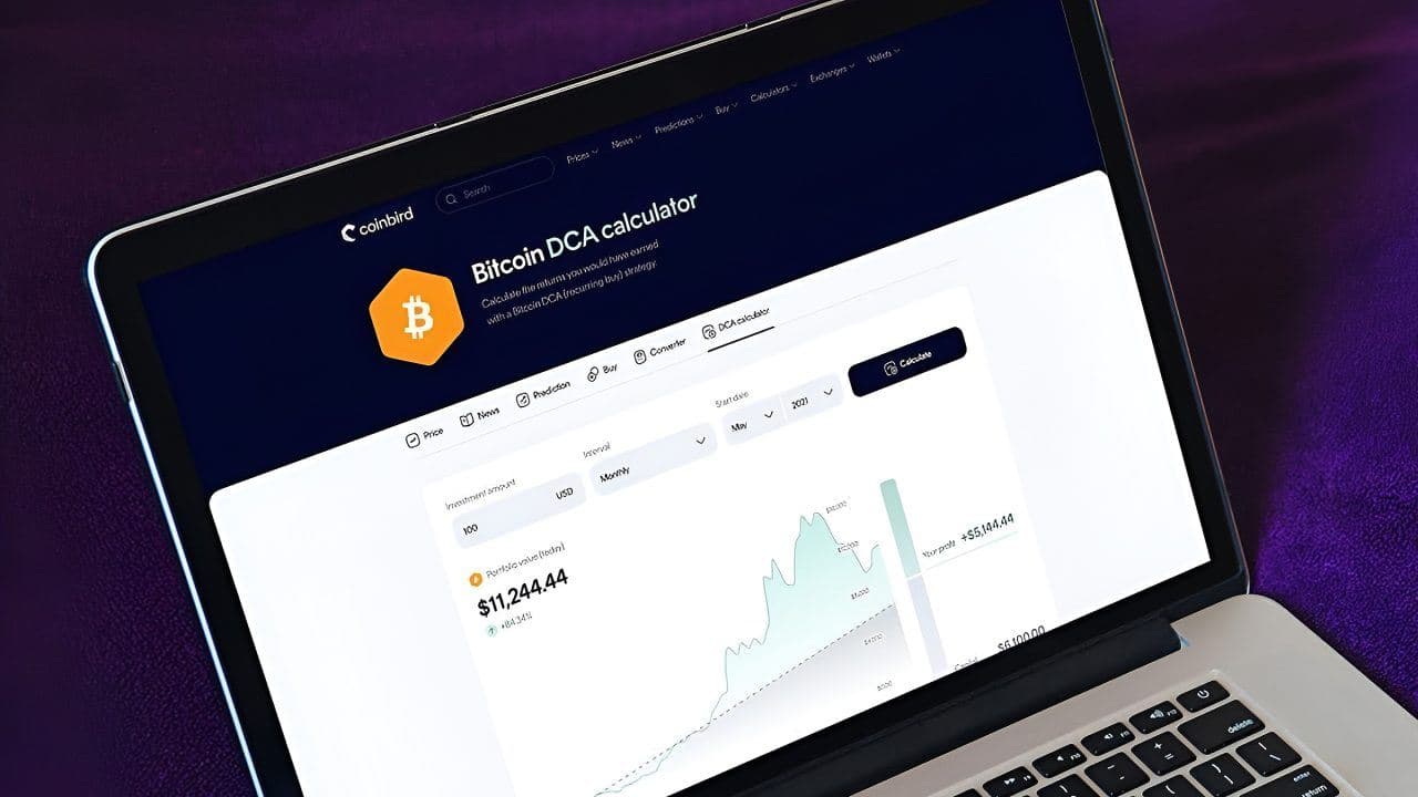 Coinbird Analysis Shows $100 Monthly Bitcoin Investment Since 2015 Would Now Be Worth Over $632,000