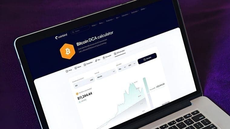 Coinbird Analysis Shows $100 Monthly Bitcoin Investment Since 2015 Would Now Be Worth Over $632,000
