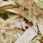 Sugarcane-Powered Bitcoin Mine to Launch in Brazil With Tether Backing