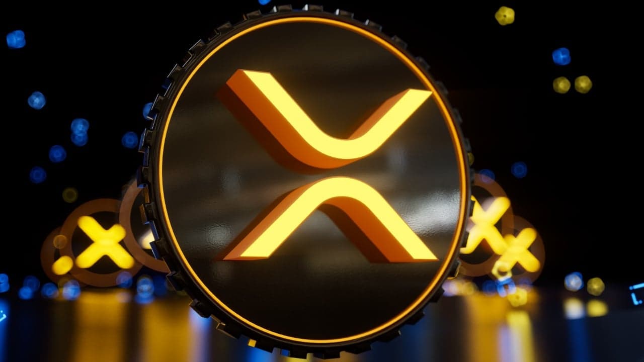 O XRP completa 14 anos: o CEO da Ripple considera uma “honra única na vida” fazer parte da família XRP