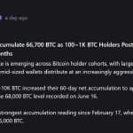 Whales vs. Mid-Tier Holders: The Dramatic Shift in Bitcoin Ownership Splitting the Market