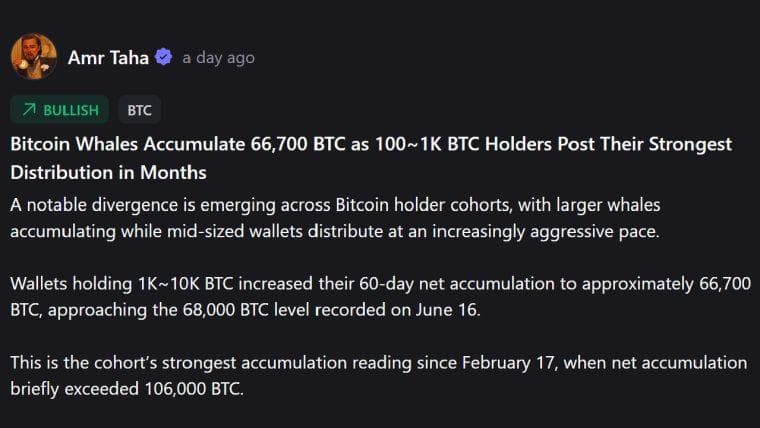 Whales vs. Mid-Tier Holders: The Dramatic Shift in Bitcoin Ownership Splitting the Market