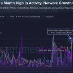 XRP Tops $1.60 as 1,917 Whale Transactions Hit Monthly High