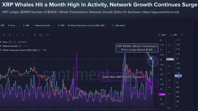 Cena XRP překonala hranici 1,60 USD, přičemž počet transakcí velkých investorů (1 917) dosáhl měsíčního maxima