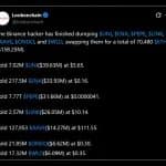 Binance Hacker Dumps $158M in Alts as Sleuths Question Exchange’s Key Story