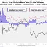Cryptoquant Says Bitcoin Whales Are Back as a Mystery Buyer Grabs $97M