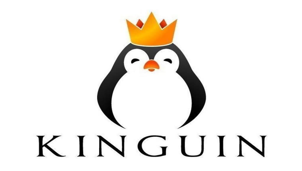 Popular Gaming Marketplace Kinguin Now Accepts Bitcoin