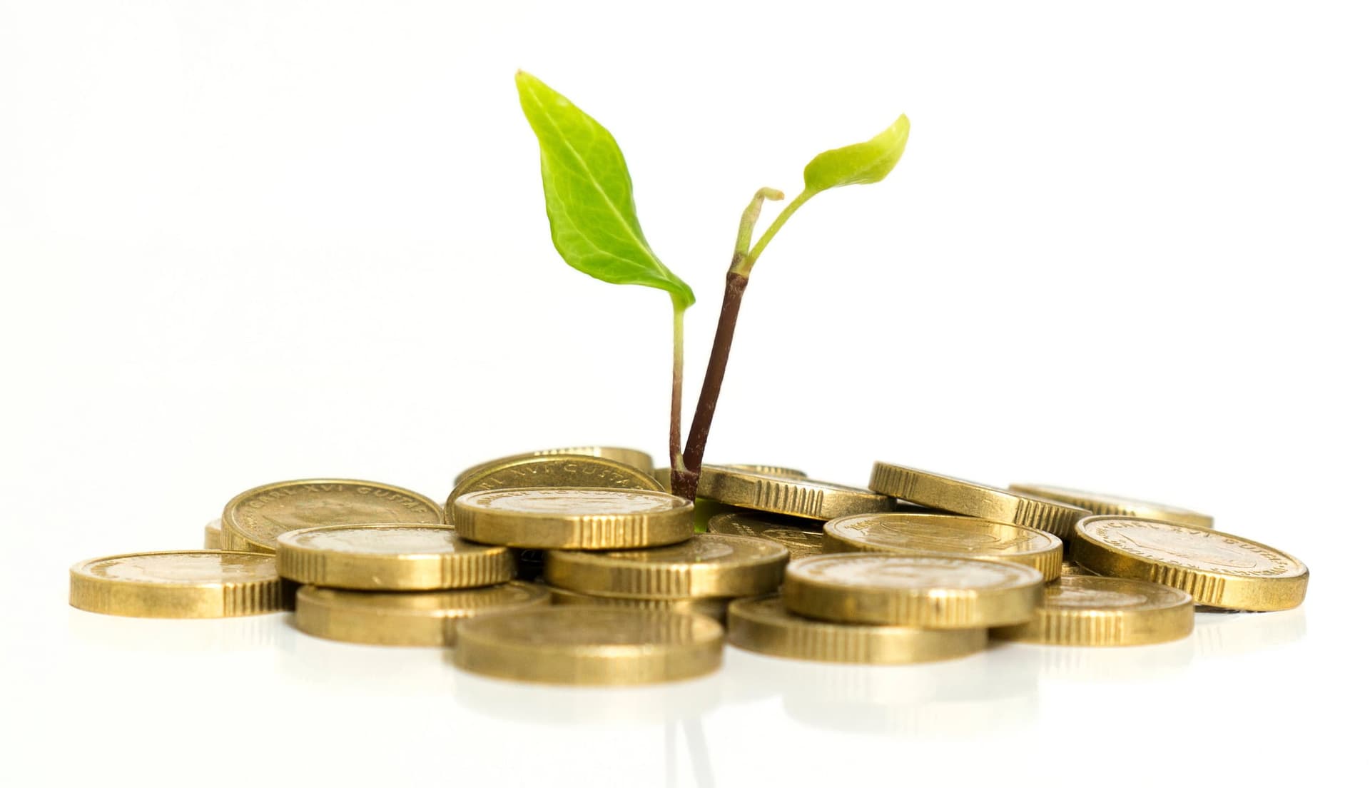 Bitcoin Venture Capital Reaches All-Time High According to New Report