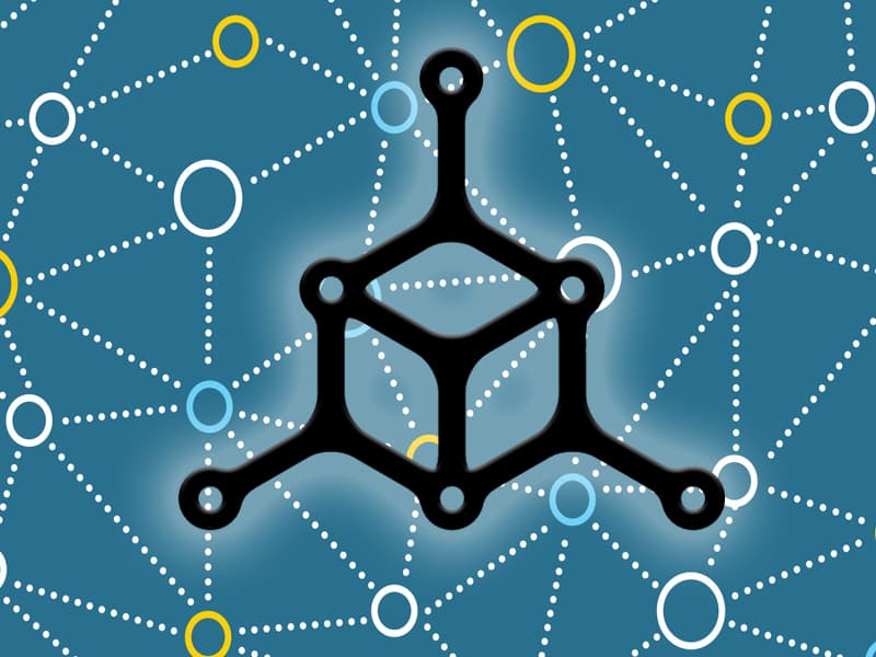 An In Depth Interview with Rassah From Mycelium