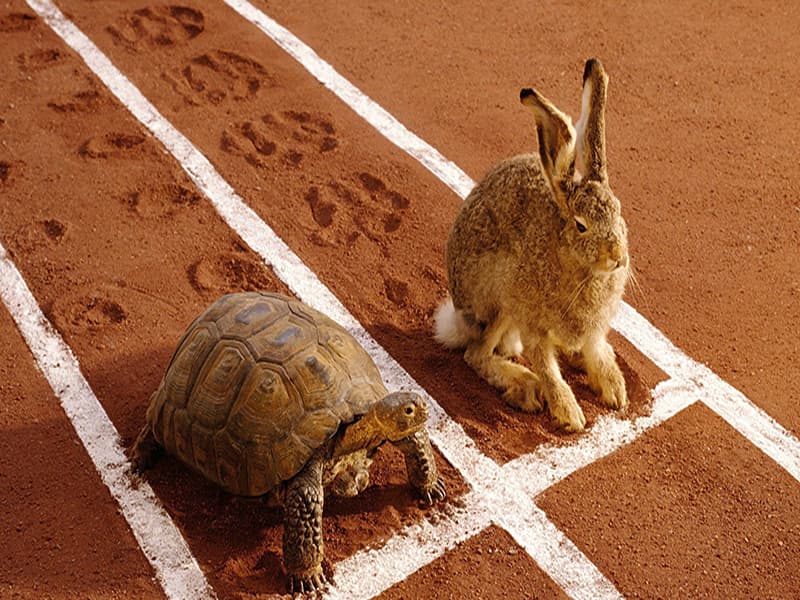 Unconfirmed Transactions, Support & Open Dialogue