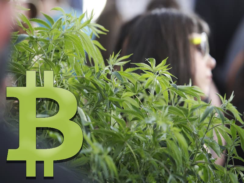 Cannabis Entrepreneurs Should Use Bitcoin as Legalization Grows