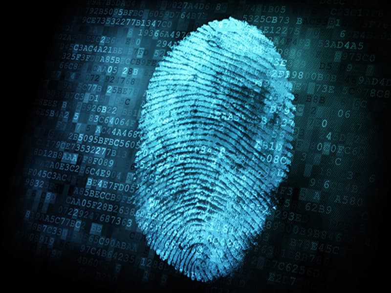 Civic's $1 Million Identity Fraud Protection