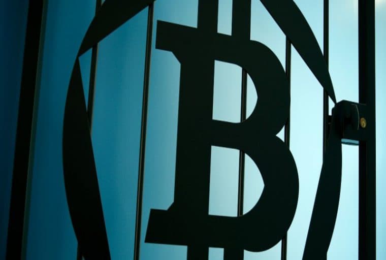 Crooked Agent Caught Again: Lyn Ulbricht Speaks Out