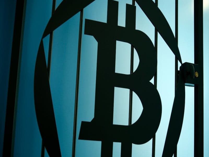 Crooked Agent Caught Again: Lyn Ulbricht Speaks Out