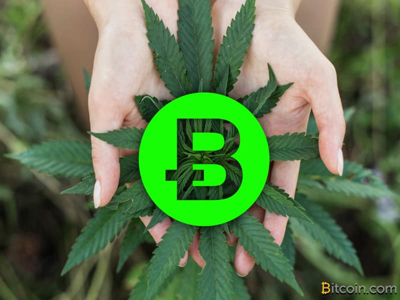 Denver Hosts 2nd Annual Crypto Cannabis Conference