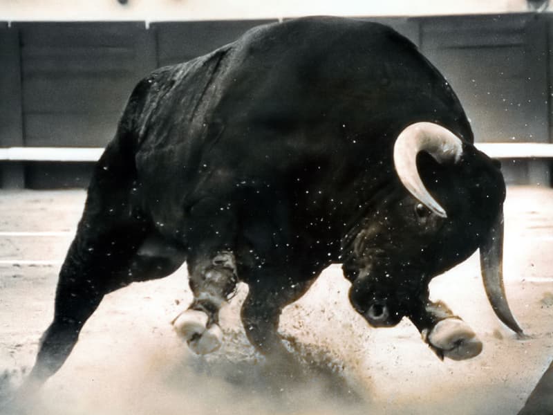 Bitcoin.com Price Watch: Bulls About to Charge?