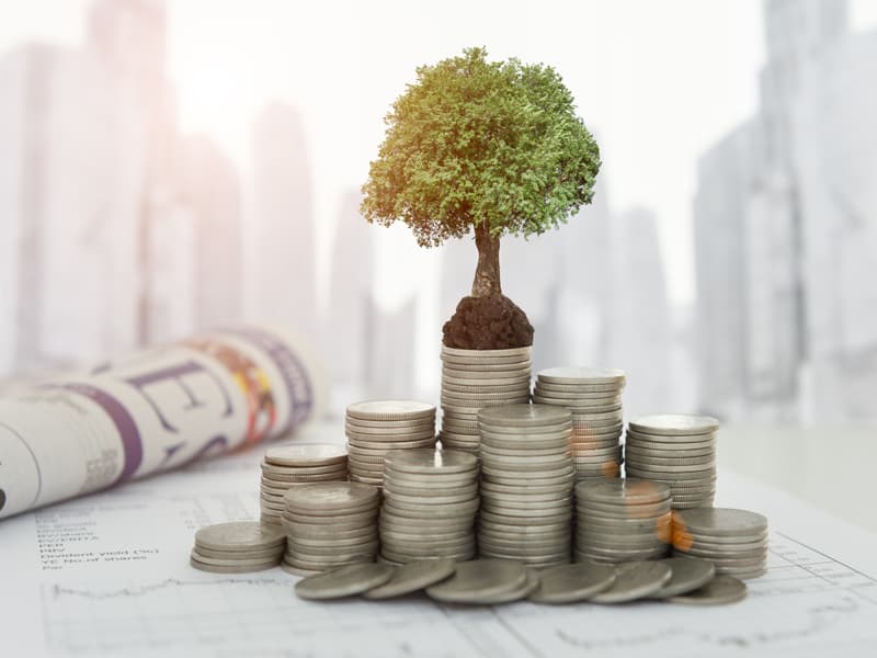 ICO Fever: How Crowdsales Are Taking Over Cryptocurrency