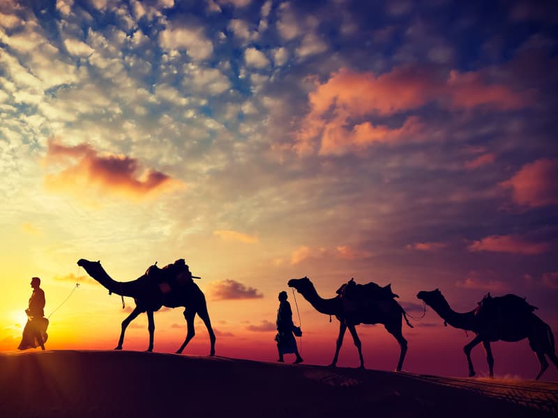 An Interview With Silk Network Developer Spencer Lievens