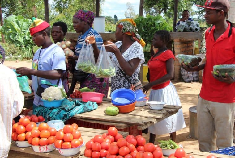 Bitcoin Funding & Education For Zimbabwean Farmers