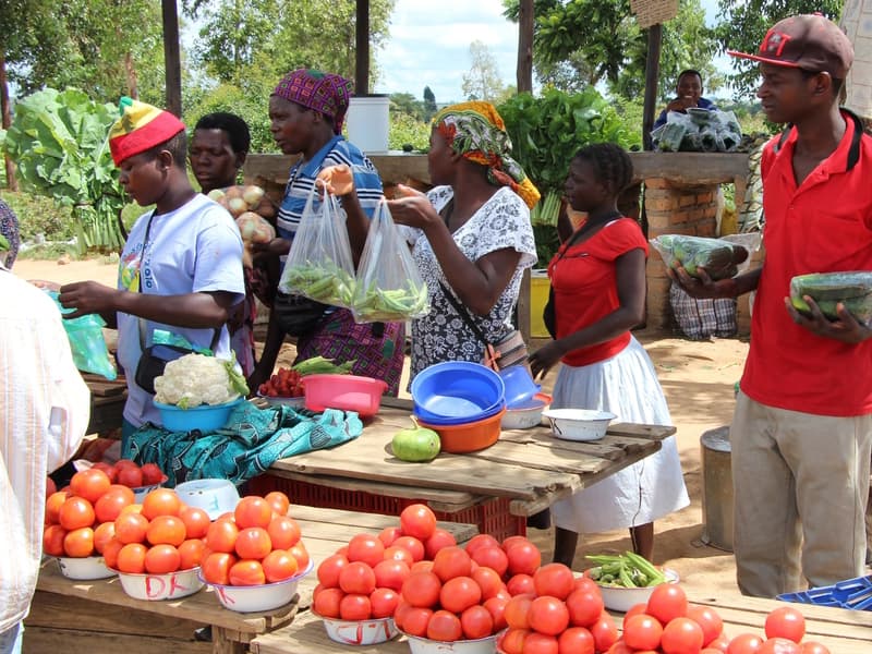 Bitcoin Funding & Education For Zimbabwean Farmers