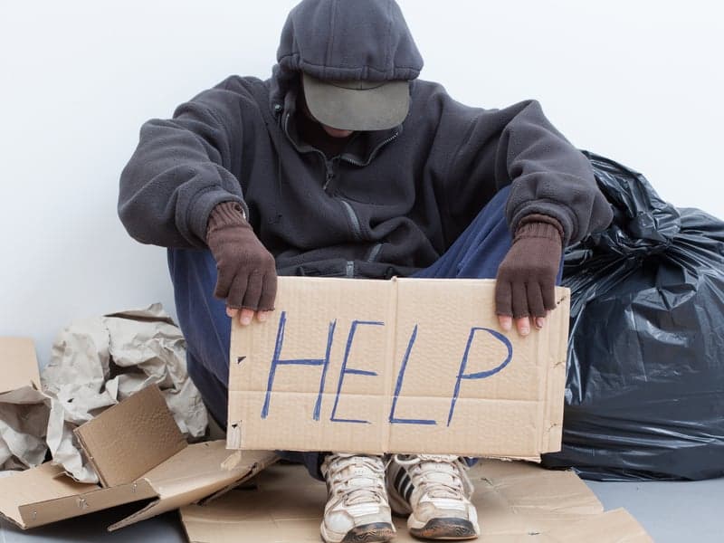 Satoshi Forest Permit Application Denied by Government Officials Again