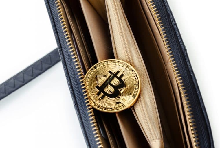 How to Choose the Right Bitcoin Wallet for Your Needs