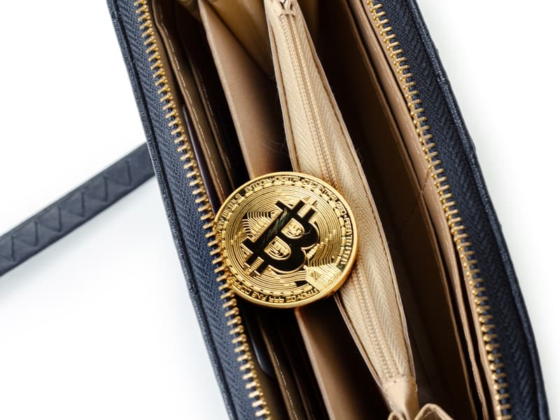 How to Choose the Right Bitcoin Wallet for Your Needs