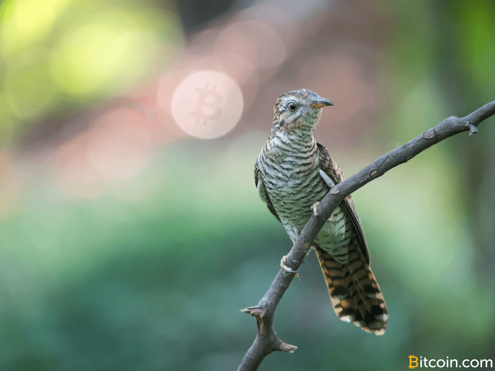 New Bitcoin Caching Features Could Improve Block Verification