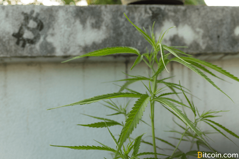 Washington State Bill to Ban Bitcoin for Pot Fails