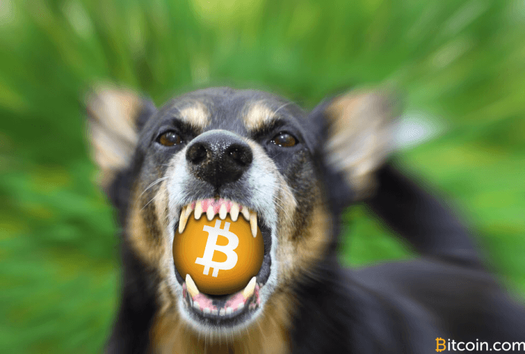 Bither CEO: Bitclub is Performing Segwit-related Attack Against Network