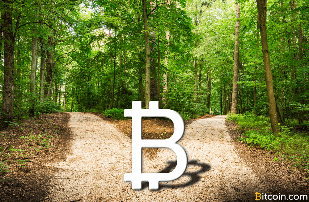 This Happens to Your Coins During a Bitcoin Hard Fork and Possible Blockchain Split