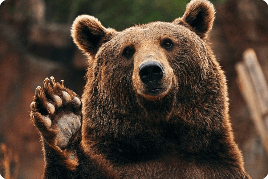 SibCoin Offers a Simple Cross-border Money Transfer Solution