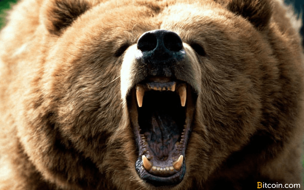 Markets Update: Bitcoin's Battle Against the Bear Market
