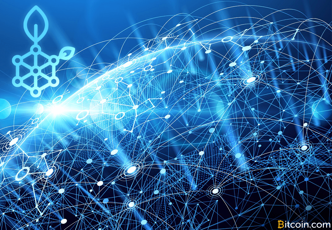 Sidechain Juggernaut RSK Labs Launches Ginger Testnet After $3.5M in New Funding