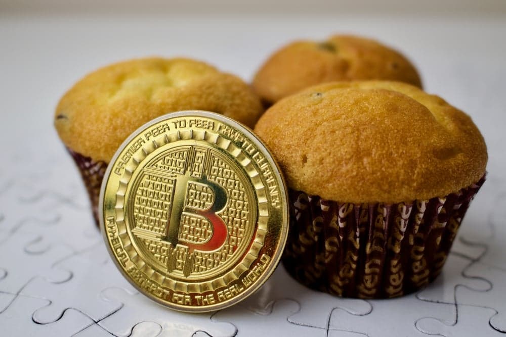 Mainstream Journalist Makes Bizarre Attempt at Living On Bitcoin for a Week