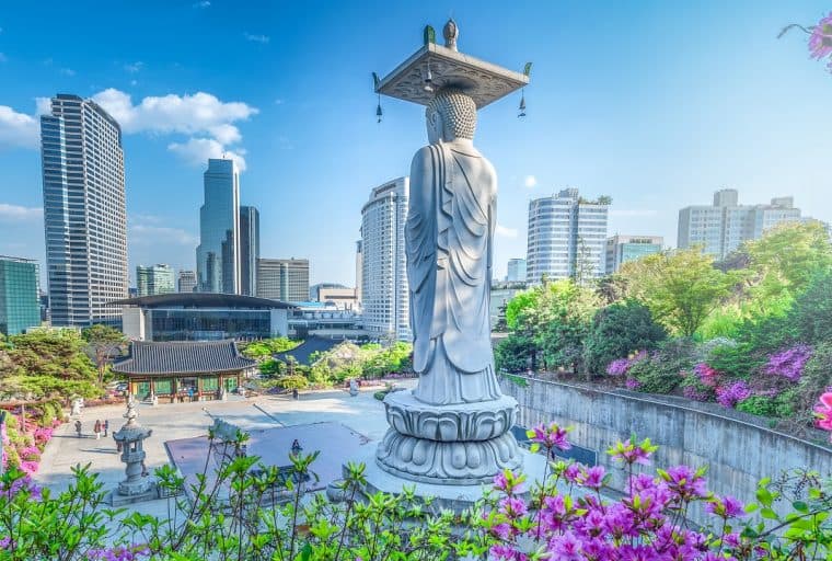 South Korea to Dispose of 216 Bitcoins in First Public Auction