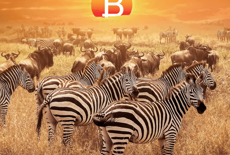 Bitcoin Experiences Rapid Growth and High Trading in Africa