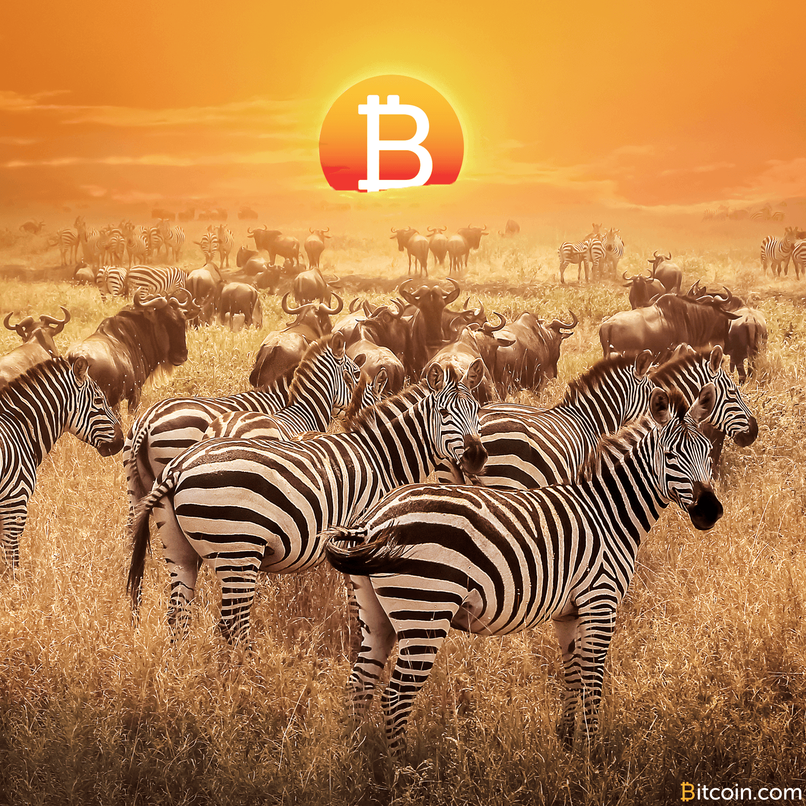 Bitcoin Experiences Rapid Growth and High Trading in Africa