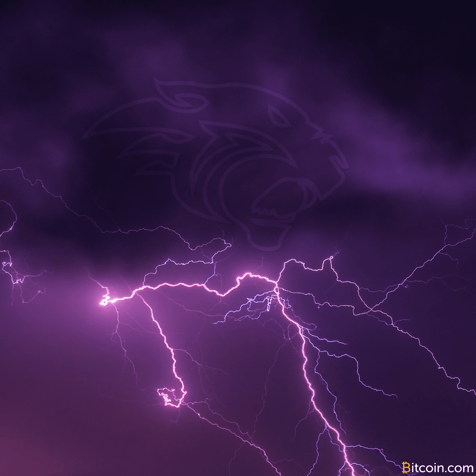 Bitfury Successfully Tests Lightning Network