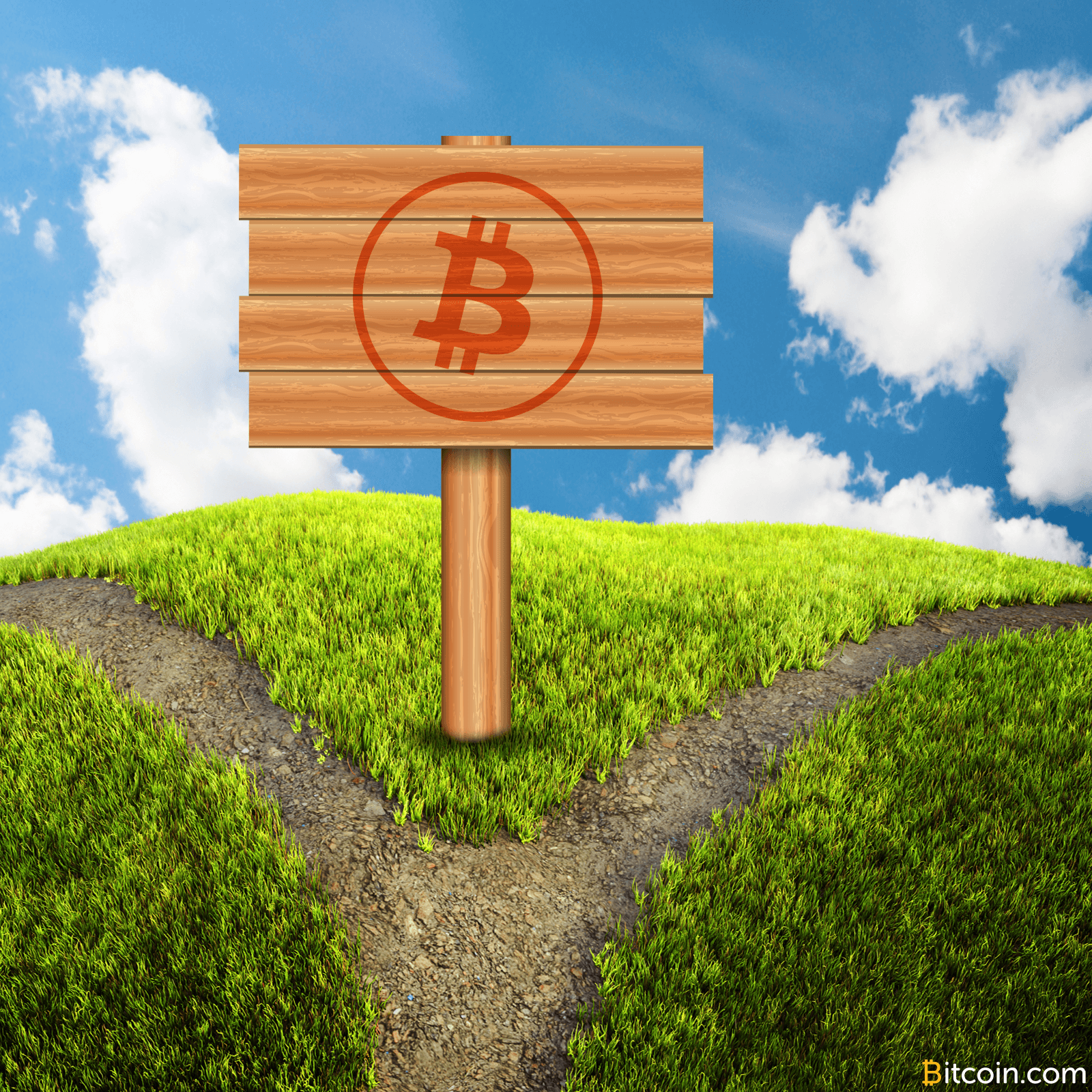 Fork Watch: 'Bitcoin Cash' Support Grows as August 1 Draws Near