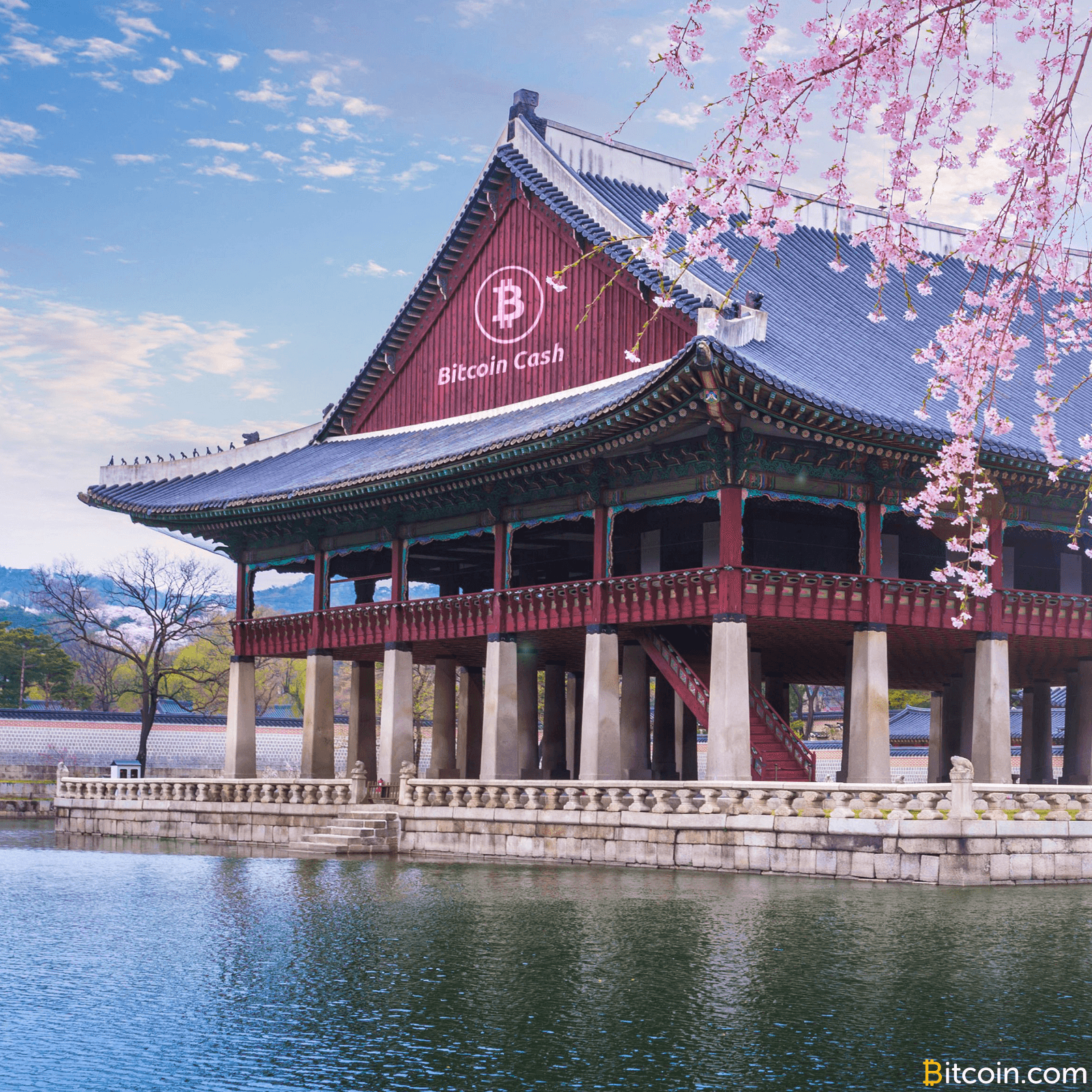 Fork Watch: Korean Bitcoin Exchanges Divided on 'Bitcoin Cash'