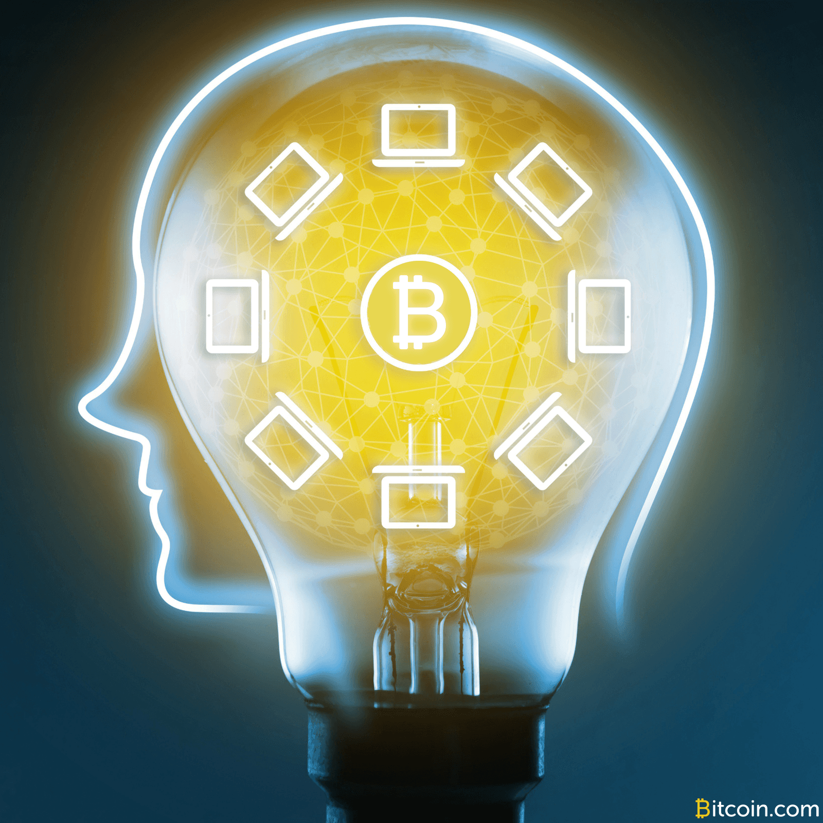 Hard Forking for Dummies: Two Simple Rules to Access Your Bitcoin Cash