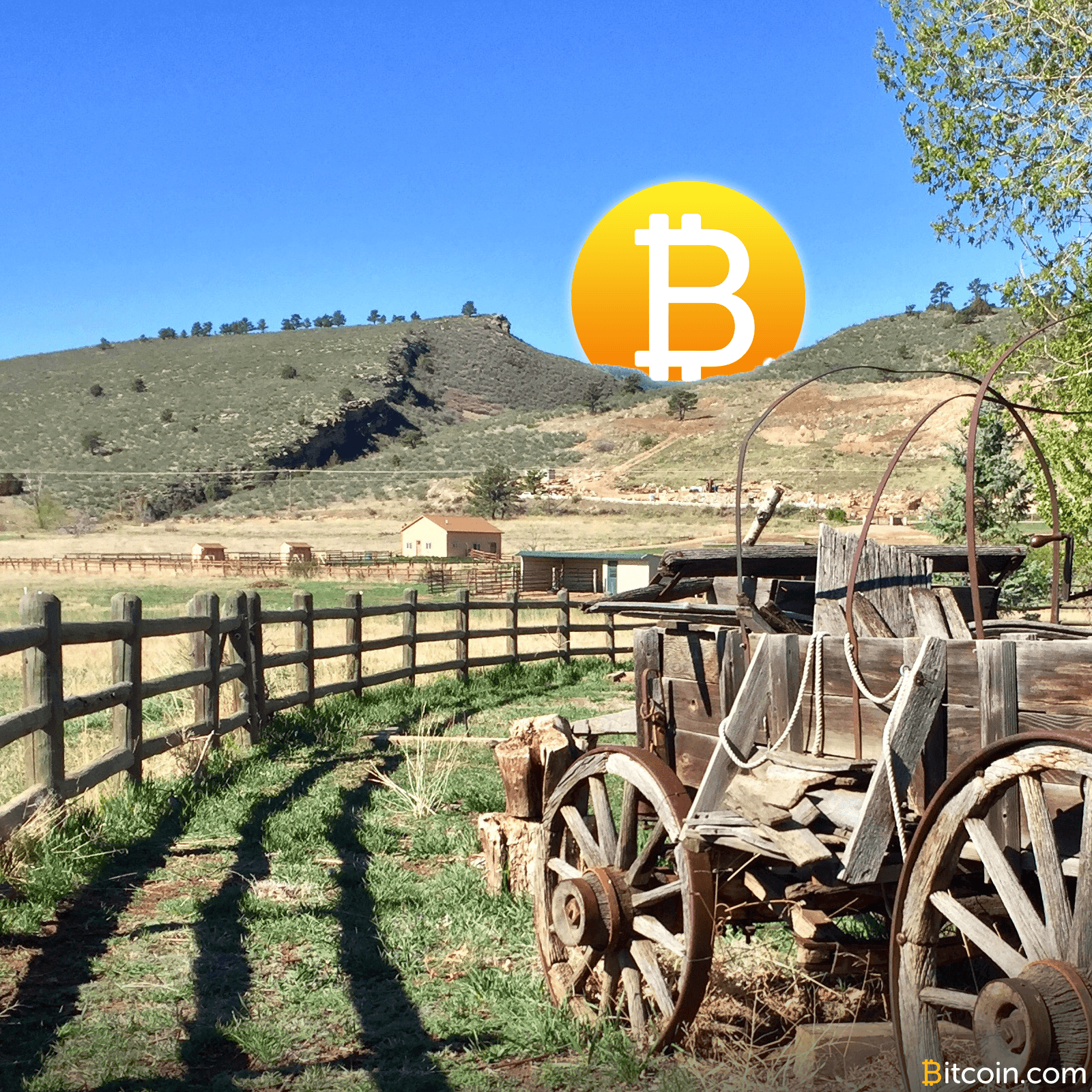 The End of the ICO Wild West? Blockchain Advocates Weigh In On SEC Report
