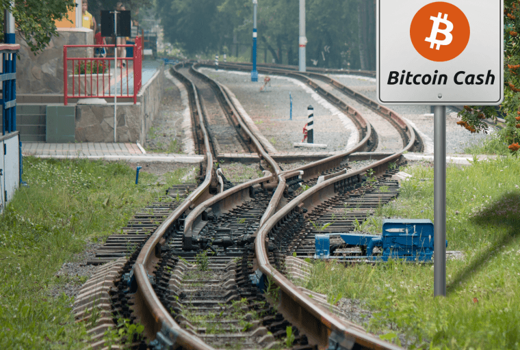 What Every Bitcoiner Should Know About 'Bitcoin Cash'