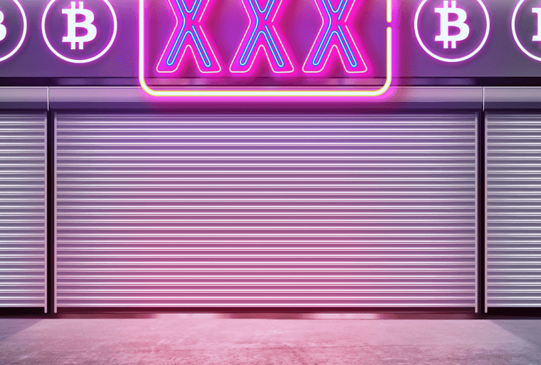 University Research Project Analyzes Bitcoin Blockchain to Combat Sex Trade