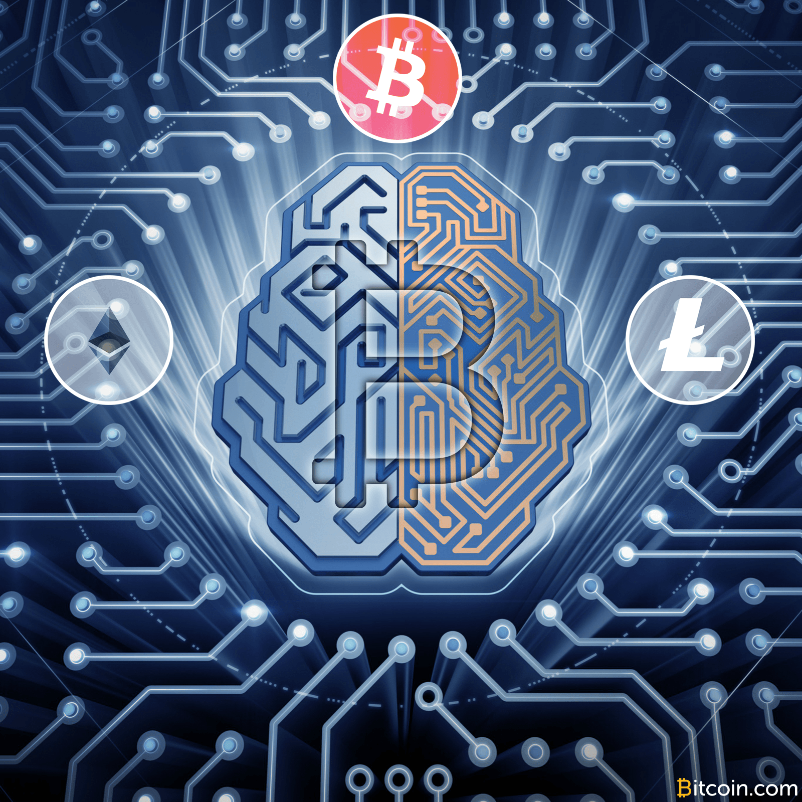 MAPS to Accept Altcoins for Research on MDMA Psychedelic Medicine