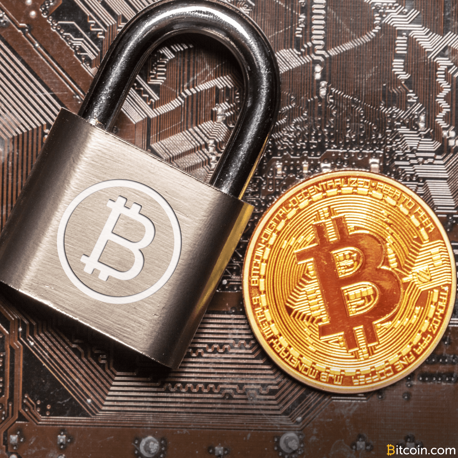 A Look at Two Alternative Bitcoin Hardware Wallets on the Market