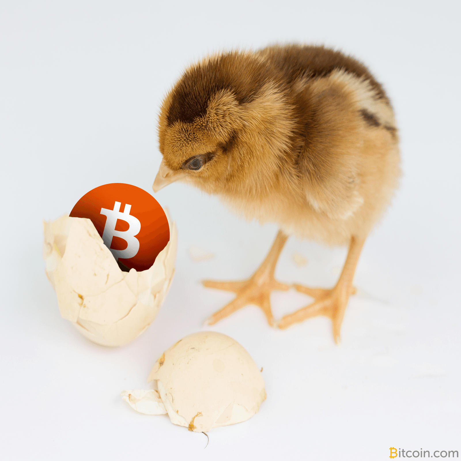 Bitcoin Cash Now Third Highest Valued Cryptocurrency Market Cap